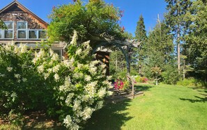 Beautiful Flowers & Gardens Surround Blue Arches