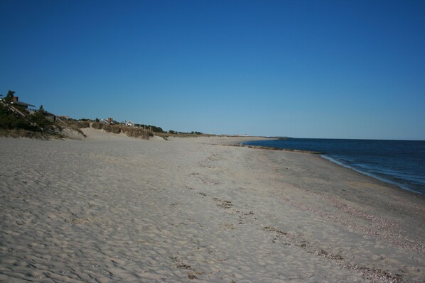 Earle Road Beach
