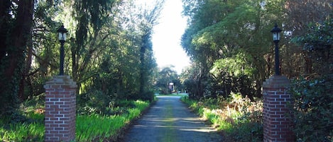 Entrance to Hidden Haven
Directly across from Crieghton St. off Fairfield 