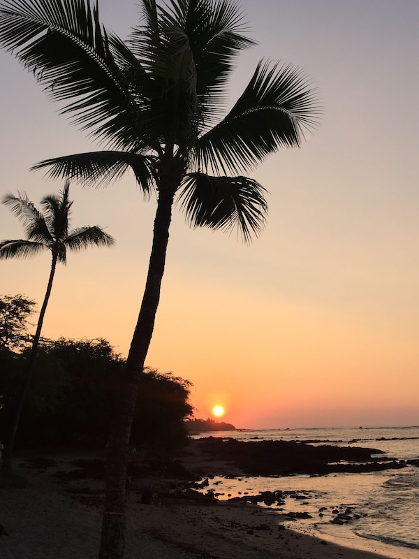 Located in the heart of the best beaches in Hawaii.