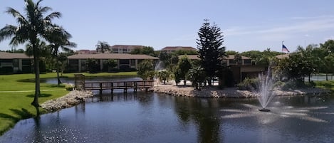 View from Lanai