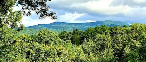 Long-range mountain views from the back porch! 