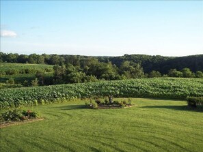 The beautiful countryside.