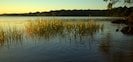 Sea grasses and the opposite shore, taken by a guest!  Photo ©Arnold Dalene