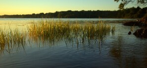 Sea grasses and the opposite shore, taken by a guest!  Photo ©Arnold Dalene
