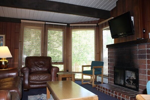 Living Room / Gas Fireplace