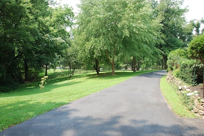 A Cozy Cottage Near the Heart of All Louisville Attractions!