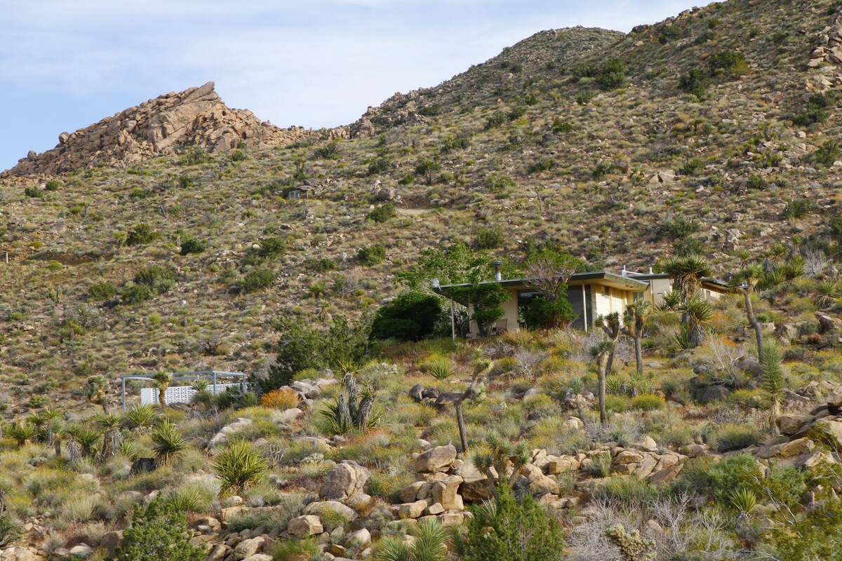 Gorgeous Views, 5 Acres, Sleeps 8, Hot Tub, WiFi, Close to Park!