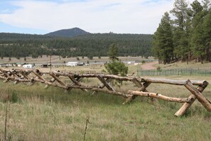 View towards Luna Lake from our pasture