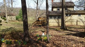 Juniata Cabin - early spring