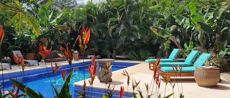 Serene and relaxing poolside surrounded by lush tropical folliage.