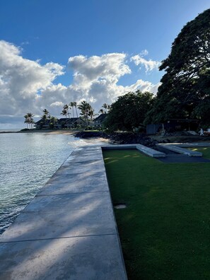 View from the lawn area