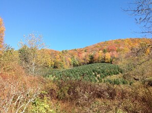 Terrain de l’hébergement 