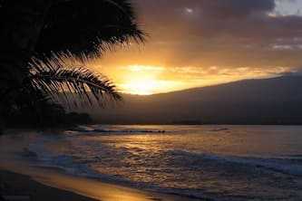 Oceanfront Charmer: Our Surf - Your Lullaby