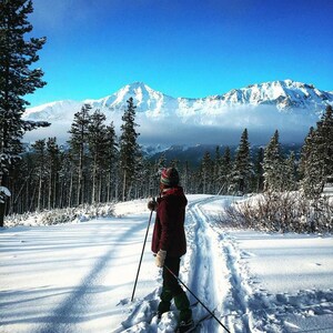 Fantastic Location, New Cabin Near Glacier National Park