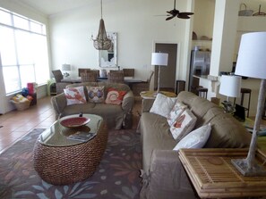Living/dining area