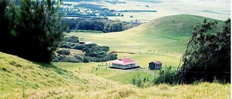 Aerial view of house and storage shed