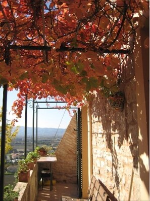 Balcony & Ivy