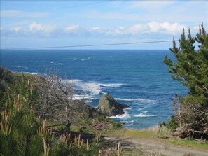 The home offers beautiful views of the Pacific Ocean.
