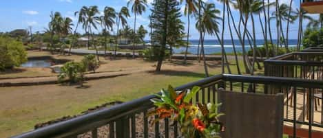 Ocean view from Lanai