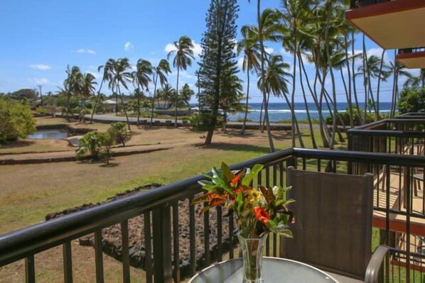 Ocean view from Lanai