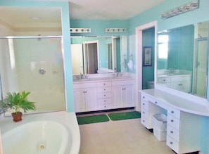 Large private bath attached to South Side master suite