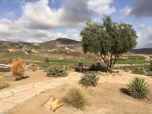 Relax in the shade of the olive tree & enjoy the mountain & vineyard views.
