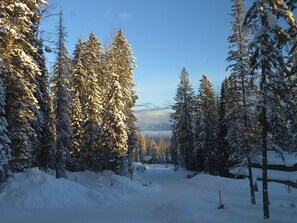 View from the living room window. XCountry trail begins right across the street