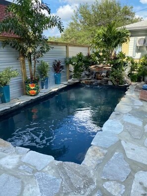 Shared Small saltwater Backyard Lagoon to relax in