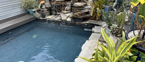 Lagoon Cocktail Pool in Courtyard