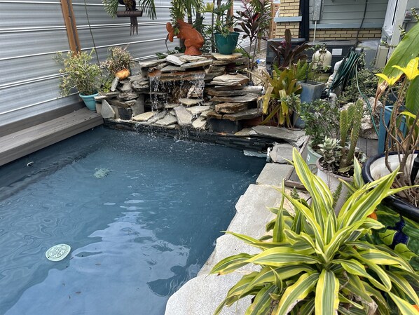 Lagoon Cocktail Pool in Courtyard