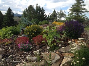 Hill Top Garden