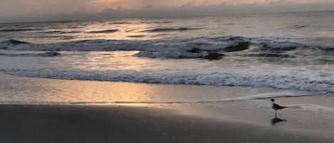 Morning Sunrise on the beach