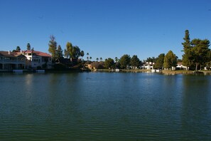 View from a walk in the neighborhood