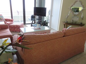 Living Area/TV