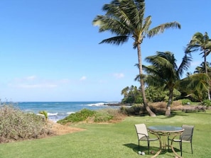 Grass area in front of ocean