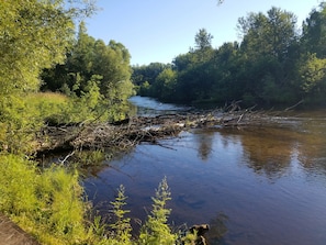 River looking upstream from dock