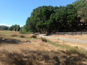 Private drive through the field to the barn and casita