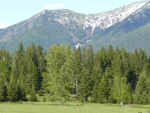 picnic table in distance....