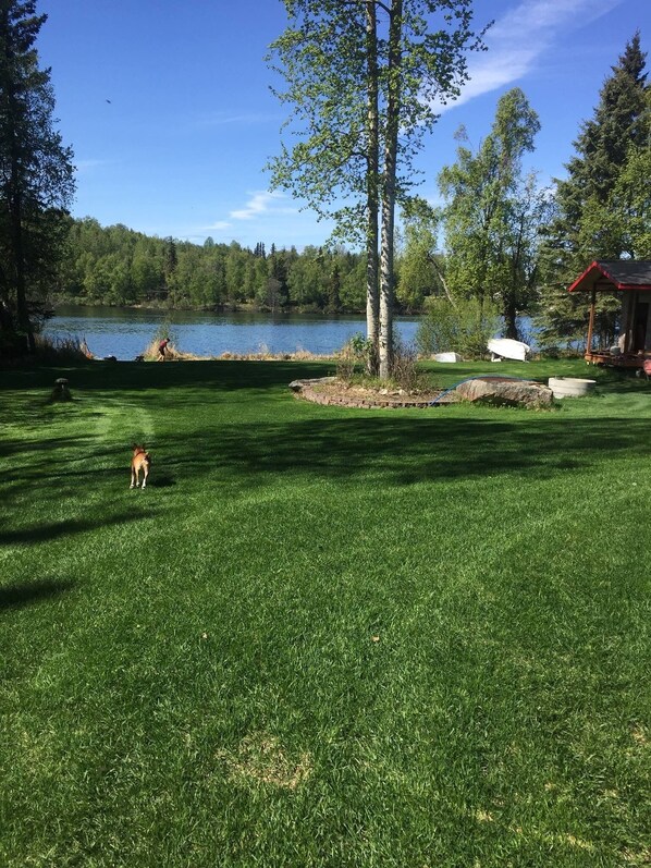 Summertime on the lake