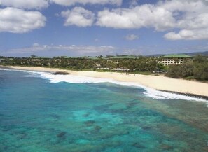 Enjoy Poipu's fantastic  beaches voted some of the best in the world.