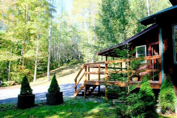 Deck Overlooking The Wolfcreek Cabin Property (50 acres)