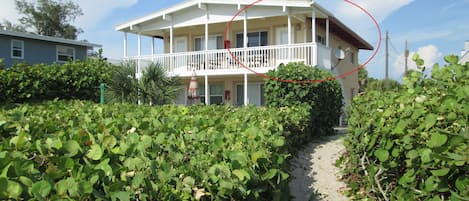 Unit #3 top right condo directly on the beach