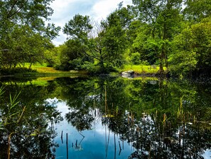 Pond, stocked  (not for swimming)