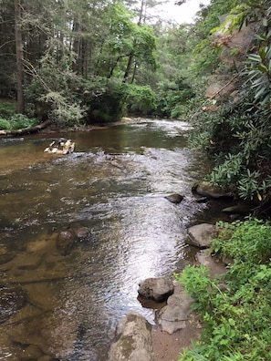 Taccoa river front from our property. Steps lead right to the river! ♥
