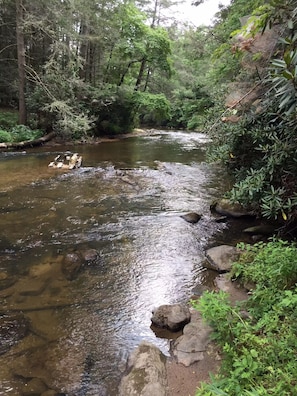 Taccoa  river front from our property. Steps lead right to the river! ♥