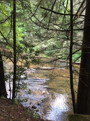 Taccoa river from our access road