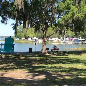 Mount Dora-Walking distance to historical downtown area, restaurants, and shops.