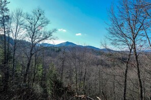 Pigeon Forge Cabin "The Hidden End" - Mountain views