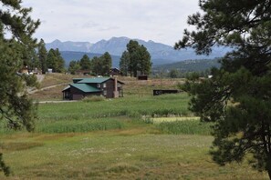 Ridgley Overview